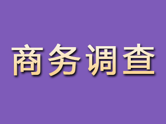 中宁商务调查